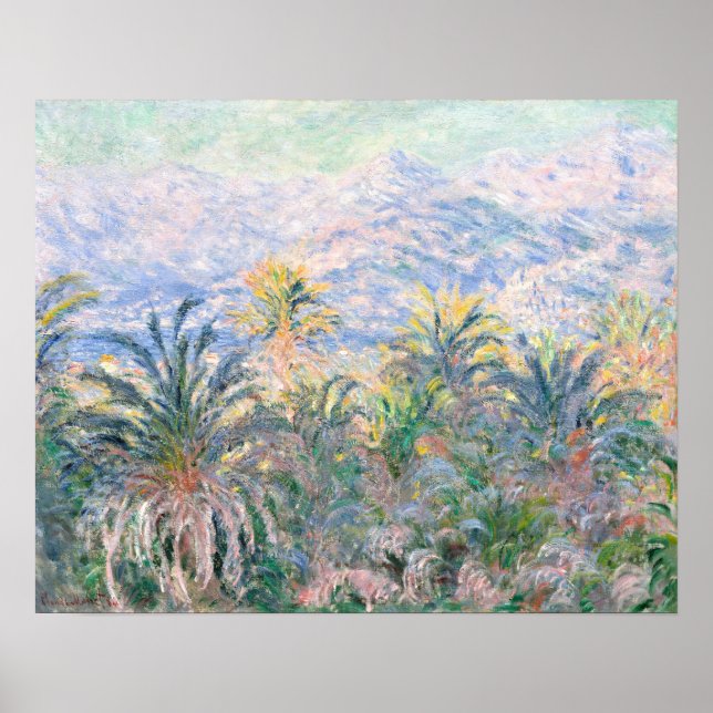 Palm Trees at Bordighera (1884) by Claude Monet Poster (Front)