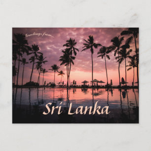 Palm Trees at Negombo Beach Sri Lanka Postcard