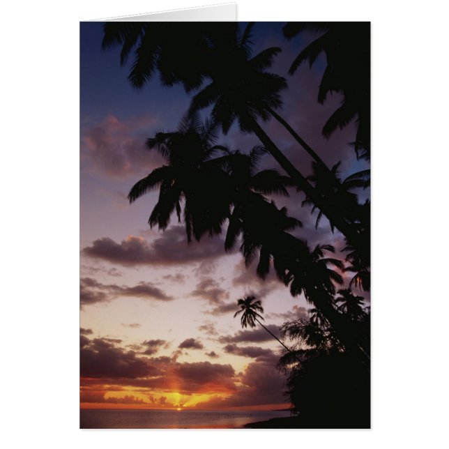 Palm Trees at sea (Front)