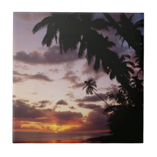 Palm Trees at sea Tile