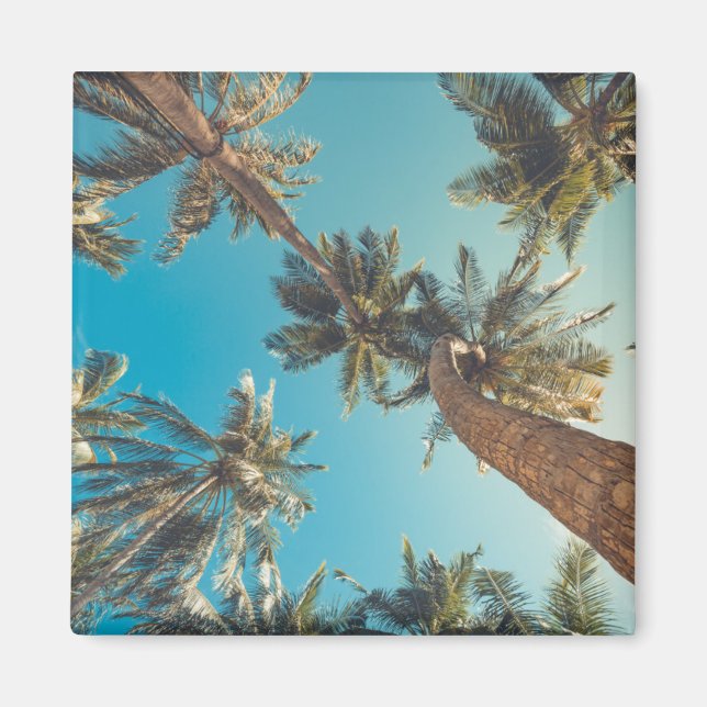 Palm Trees at Tropical Beach Vintage Magnet (Front)