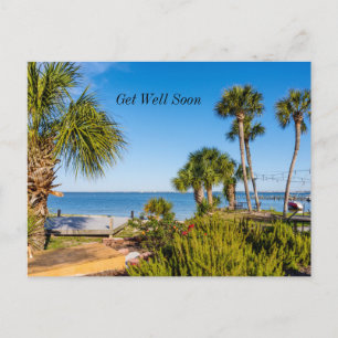 Palm Trees Bayside Morning Get Well Postcard
