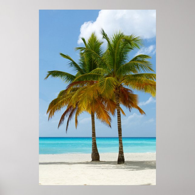 Palm Trees Beach Blue Sea Sky Sunny Day Poster (Front)