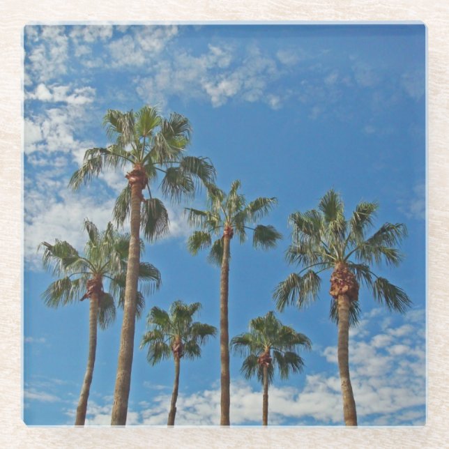 Palm Trees Brilliant Blue Sky Photo Tropical Glass Coaster (Front)