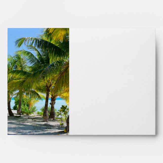 Palm trees envelopes (Front)