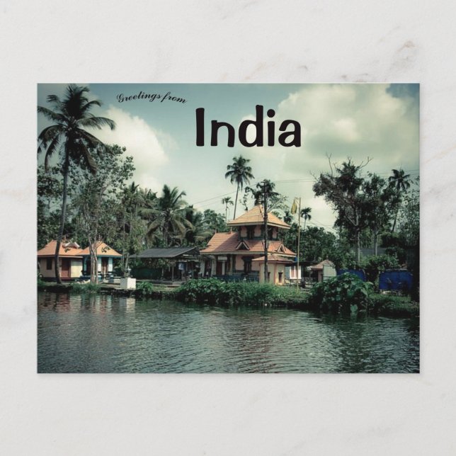 Palm Trees in Kerala India Postcard (Front)