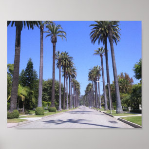 Palm Trees in Los Angeles Poster