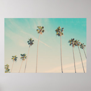 Palm Trees in the Wind Photo Poster