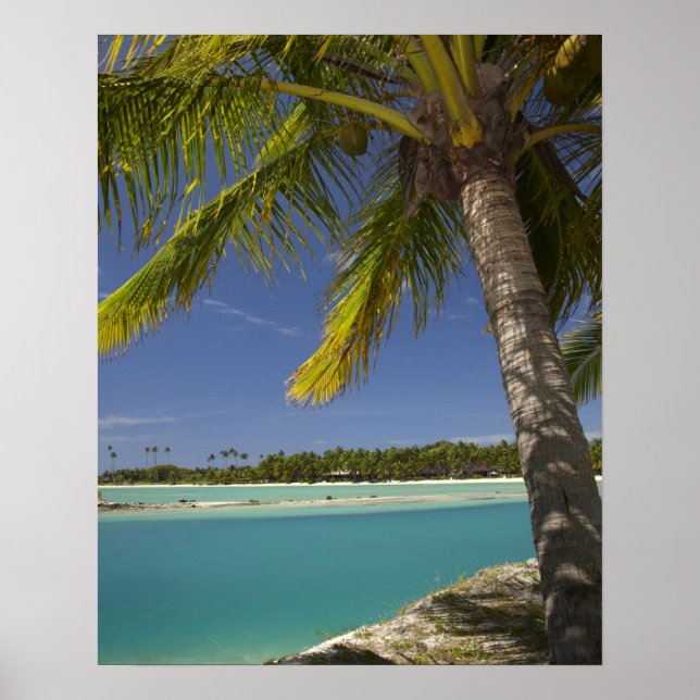 Palm trees & lagoon, Musket Cove Island Resort Poster (Front)