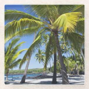 Palm trees, National Historic Park Pu'uhonua Glass Coaster