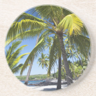 Palm trees, National Historic Park Pu'uhonua o Coaster