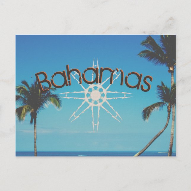 Palm Trees Near The Ocean Postcard (Front)