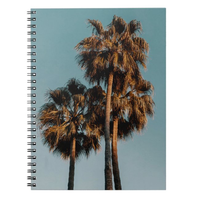 Palm trees notebook (Front)