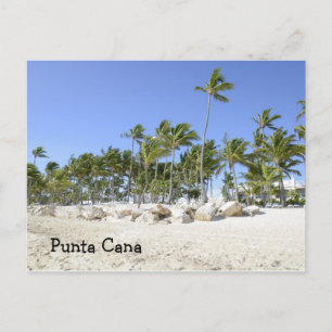 palm trees on a tropical beach postcard