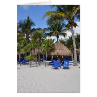 palm trees on the beach