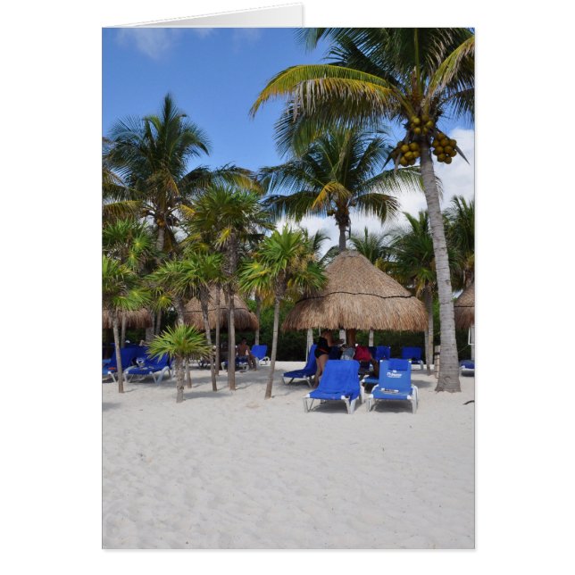 palm trees on the beach (Front)