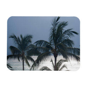 Palm Trees On The Beach Magnet
