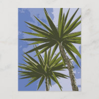Palm Trees