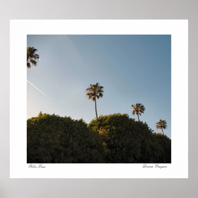 Palm Trees Poster (Front)