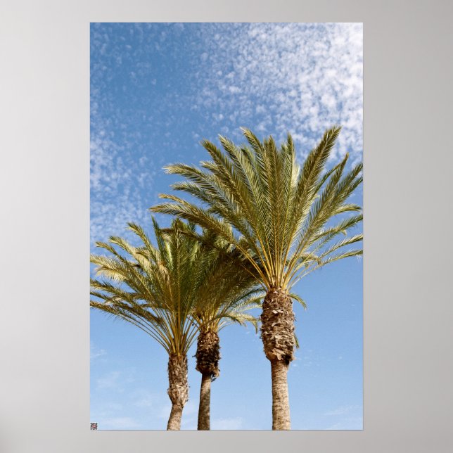 Palm Trees Poster (Front)