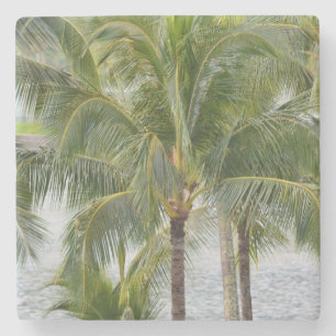 Palm Trees Stone Coaster