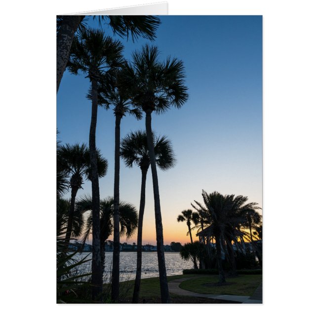 Palm Trees Sunrise Destin Florida Greeting Card (Front)