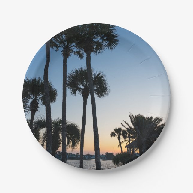 Palm Trees Sunrise Destin Florida Paper Plates (Front)