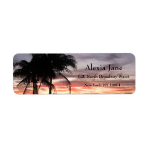 Palm Trees & Sunset