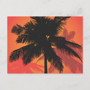 Palm Trees Sunset Silhouettes Postcard