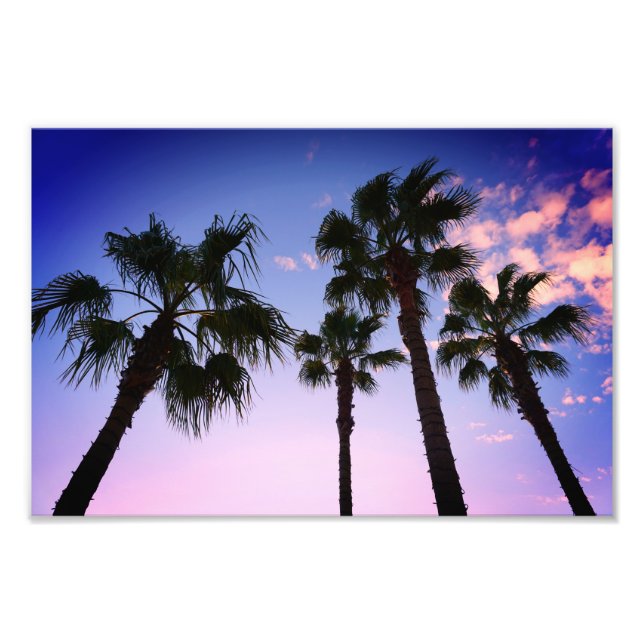 Palm Trees Swaying At Christmas in Destin Florida Photo Print (Front)