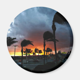 Palm Trees Swaying in the Breeze at Sunset Magnet