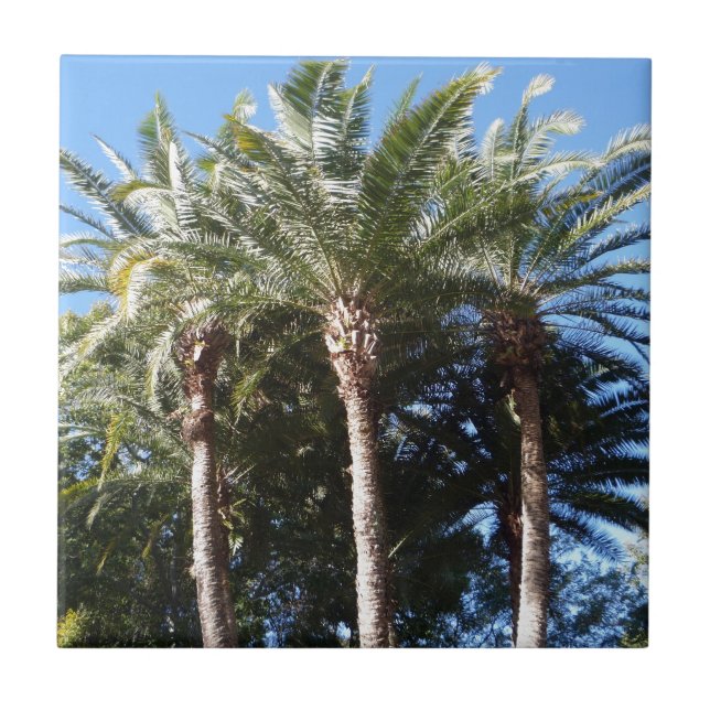 Palm Trees Tile (Front)