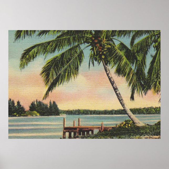 palm trees vintage poster (Front)