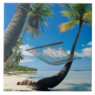 Palm Trees with Hammock, tropical scene, Tile