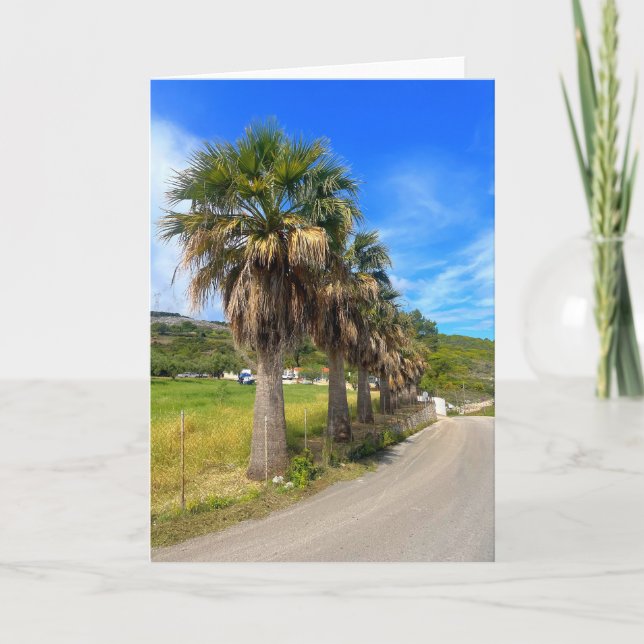 Palm Trees Zakynthos Greece Card (Front)