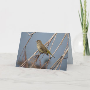 Palm Warbler - Backyard Bird Greeting Card