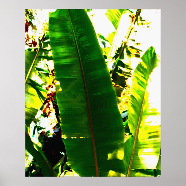 Palm Watercolor Poster (Front)