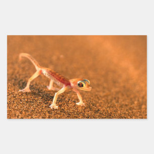 Palmatogecko On Sand Dune, Swakpomund, Erongo Rectangular Sticker