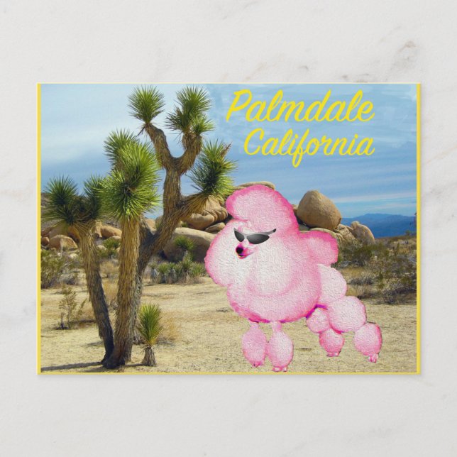 Palmdale California Pink Poodle Postcard (Front)