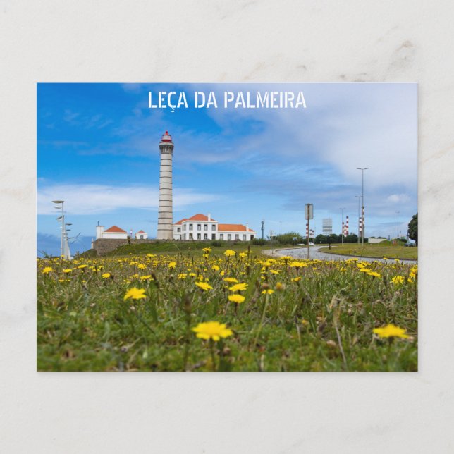 PALMEIRA MILK POSTCARD (Front)