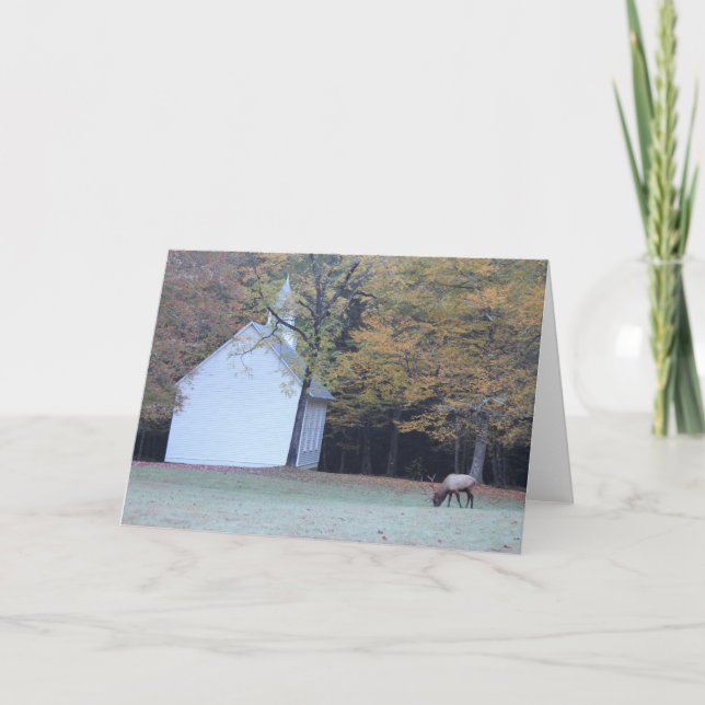 Palmer Chapel and Elk Card (Front)