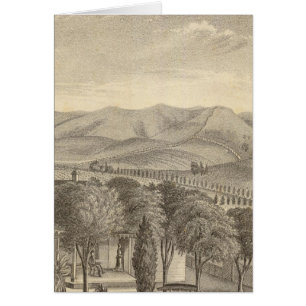 Palmer res, vineyard