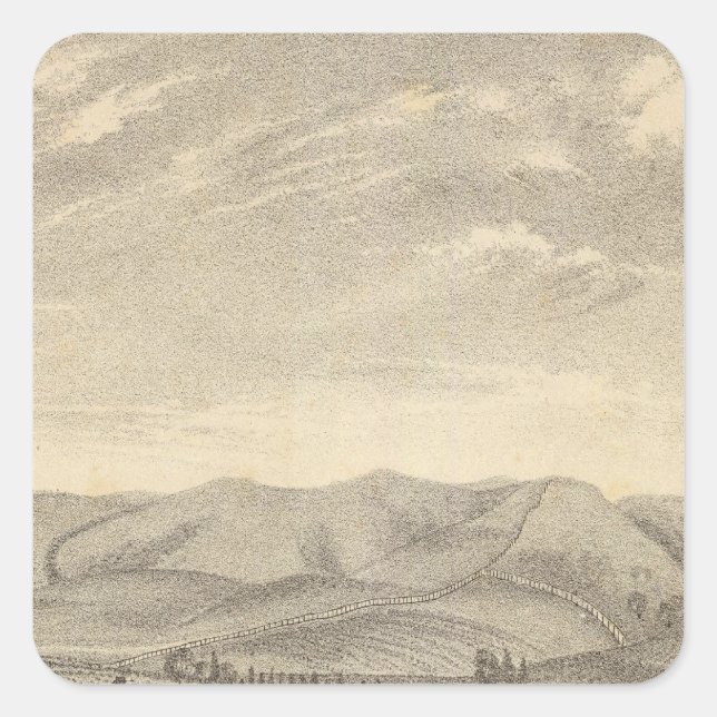 Palmer res, vineyard square sticker (Front)