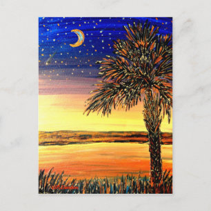 Palmetto Sunset Post Card