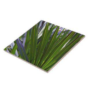 Palmetto Tropicale Tile