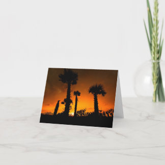 Palmettos Revisited Card