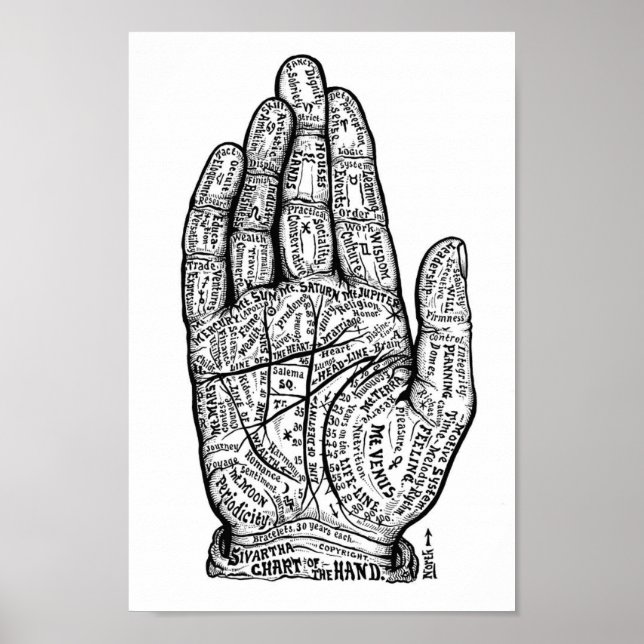 Palmistry Poster (Front)