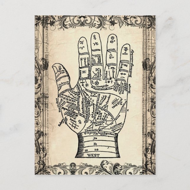 Palmistry Vintage Fortune Teller Postcard (Front)