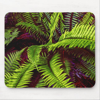 Palms 2 Mousepad