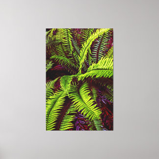 Palms 2 Wrapped Canvas